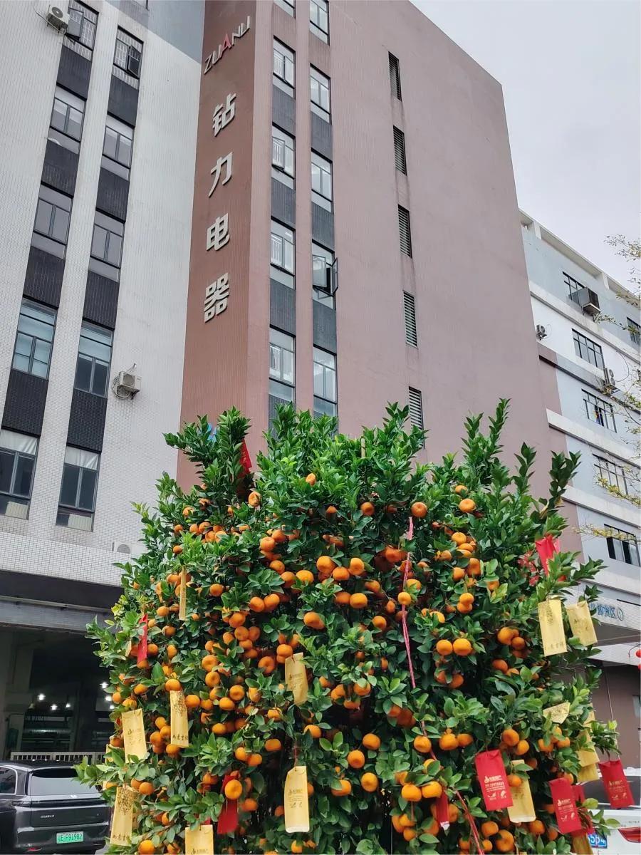 První dodávka po čínském novém roce: Čerpadla reverzní osmózy s vysokým točivým momentem míří na zámořský trh-zuanli ro čerpadlo!